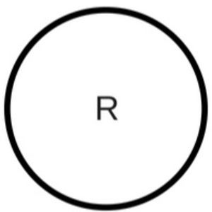 Meet your Posher, Rose